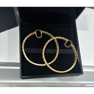 Chic Gold Hoop Earrings